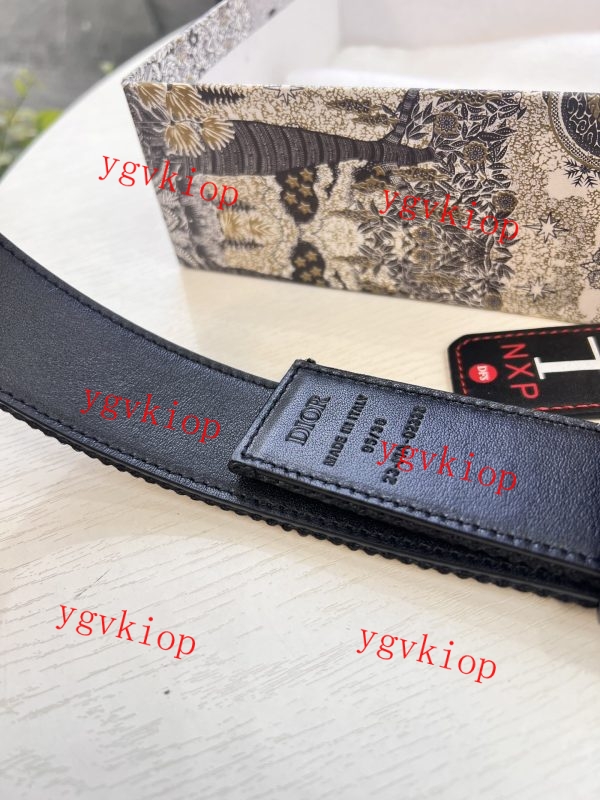 ブランド コピー ベルト ディオール 後払い n 級 品 - ppdan56601 - 画像 (2)